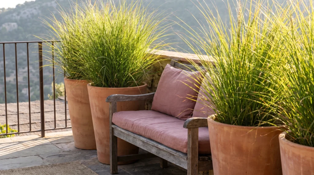 2. Create Privacy with Tall Potted Grasses