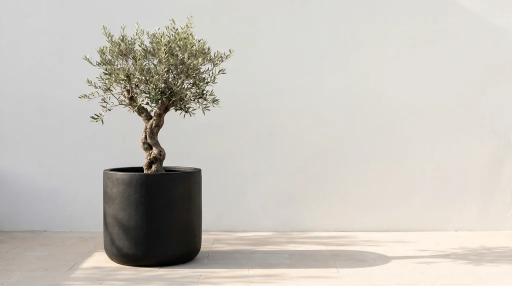 Statement "Solitary" Greenery