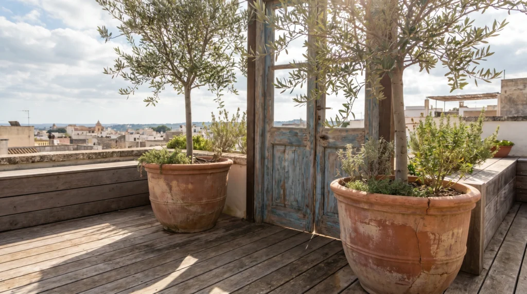 8. Potted Olive Trees for Mediterranean Vibes